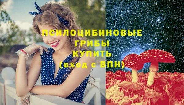 Альфа ПВП Богданович