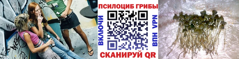 Галлюциногенные грибы Magic Shrooms Кораблино