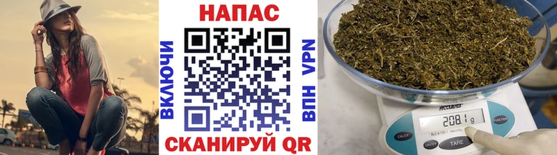 Канабис ГИДРОПОН Кораблино